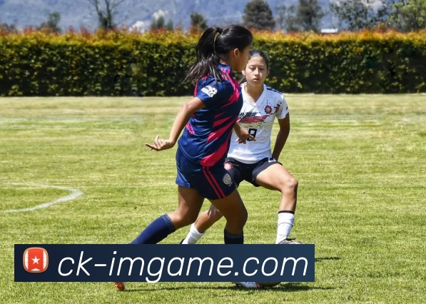 IM电竞官网发展历程